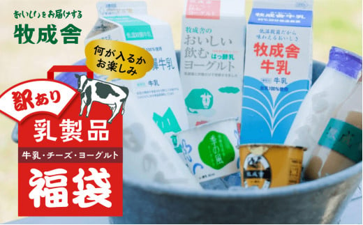 乳製品 福袋 ヨーグルト 牛乳 種類おまかせ   詰合せ 牧成舎 TR3754 591960 - 岐阜県高山市