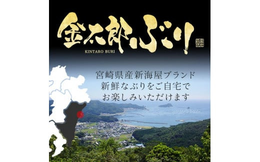 ふるさと納税 延岡市 宮崎産 金太郎ぶり 1500g(冷凍)-