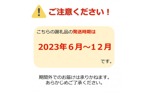 アイテムID:374186の画像2枚目