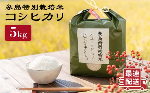 とくべつ の中の とくべつ 糸島 特別栽培米 5kg （ コシヒカリ ）《 糸島 》【株式会社やました】 [ARJ005]