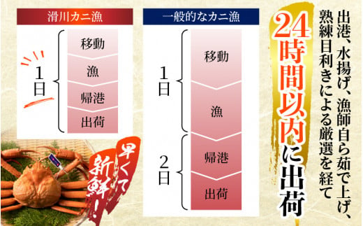 富山県産　紅ズワイガニ　4匹　冷凍ボイル　特大　サイズ　6月〜9月禁漁