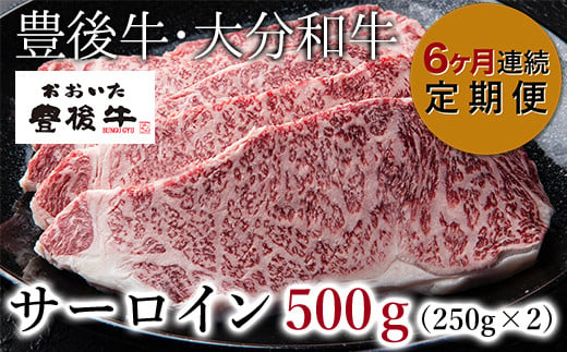 Ｄ－１１４ 【6ヶ月連続定期便】 おおいた豊後牛 サーロイン ステーキ 500g(250g×2枚)