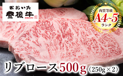 Ｃ－５４ おおいた豊後牛 リブロース ステーキ 500g(250g×2枚) 1270859 - 大分県日田市