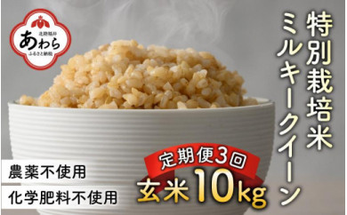 【令和4年産】《定期便3回》特別栽培米 ミルキークイーン 玄米 10kg（計30kg） ／ 農薬不使用 化学肥料不使用 ご飯