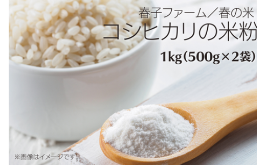  春の米（コシヒカリの米粉）1kg（500g×2袋）  708699 - 千葉県東庄町