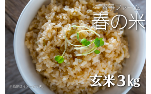 ＼令和5年産 新米／ 春の米 玄米／3kg  707593 - 千葉県東庄町