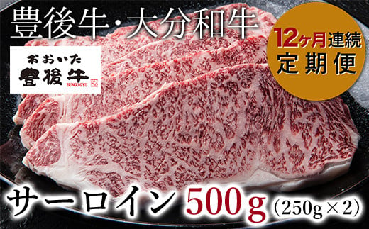 Ｄ－１１８ 【12ヶ月連続定期便】 おおいた豊後牛 サーロイン ステーキ 500g(250g×2枚)