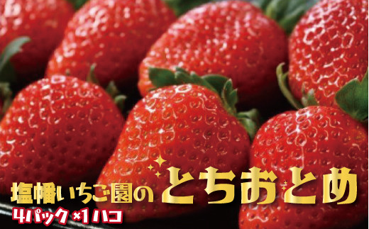 24-01完熟朝彩りいちご（とちおとめ 260g以上×4パック）【2024年1月