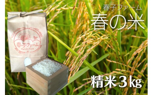 ＼令和5年産 新米／ 春の米 精米／3kg  707594 - 千葉県東庄町