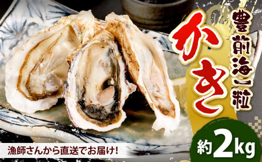 北九州産 豊前海一粒かき 2kg 牡蠣 生牡蠣 かき 474973 - 福岡県北九州市
