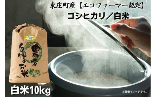 ＼令和5年産 新米／ 東庄町産【エコファーマー認定】コシヒカリ 白米10kg 