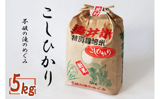 不破の滝のめぐみ 垂井米コシヒカリ - 岐阜県垂井町｜ふるさとチョイス - ふるさと納税サイト