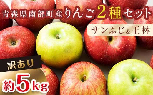 訳あり】 青森産 完熟 りんご 約15kg サンふじ 王林 2種セット （中 