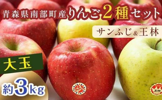 特選 (大玉) 青森産 完熟 りんご 約3kg サンふじ 王林 2種セット 【誠