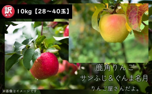 定期便】国産「大ちゃんホルモンセット（合計1.85kg）」豚ガツ入り