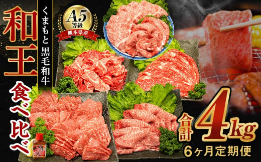【6ヶ月定期便】 熊本県産 A5等級 黒毛和牛 和王 食べ比べ 合計約4kg 牛肉 セット 613835 - 熊本県水俣市
