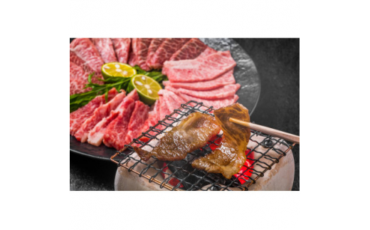 2023年3月発送開始『定期便』博多和牛A5焼き肉用＜厳選部位＞(500g)全6回【5100602】 629353 - 福岡県大野城市