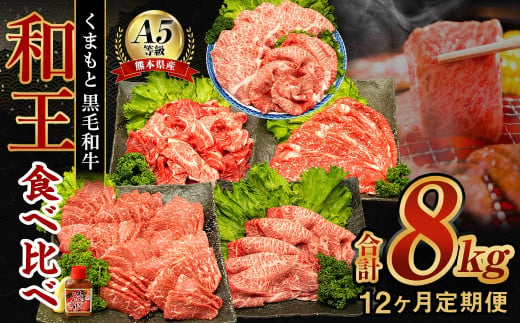 【12ヶ月定期便】 熊本県産 A5等級 黒毛和牛 和王 食べ比べ 合計約8kg 牛肉 セット 613847 - 熊本県水俣市
