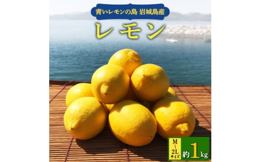 青いレモンの島　レモン約1kg＜お試しセット＞【1287524】 501222 - 愛媛県上島町
