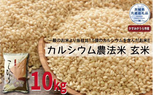 カルシウム農法米　玄米10kg（茨城県共通返礼品・かすみがうら市産） 630618 - 茨城県笠間市