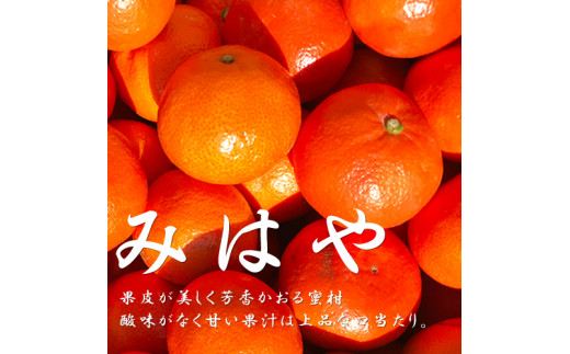 熊本県産みはや 約5キロ 果物 柑橘類