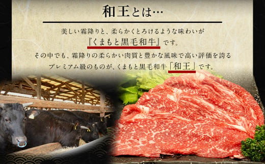 【12ヶ月定期便】熊本県産 A5等級 黒毛和牛 和王 食べ比べ