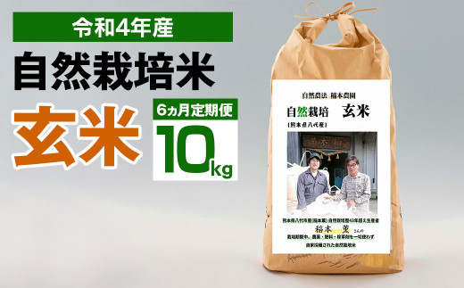 【6ヶ月定期便】令和4年度産 熊本県産 自然栽培米 稲本一号 玄米 10kg