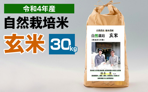 令和4年度産 熊本県産 自然栽培米 稲本一号 玄米 30kg