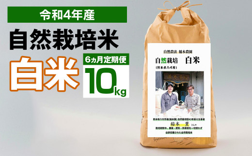 【6ヶ月定期便】令和4年度産 熊本県産 自然栽培米 稲本一号 白米 10kg