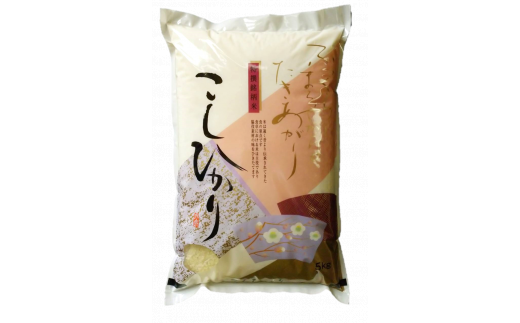 コシヒカリ　玄米5kg（茨城県共通返礼品・かすみがうら市産）