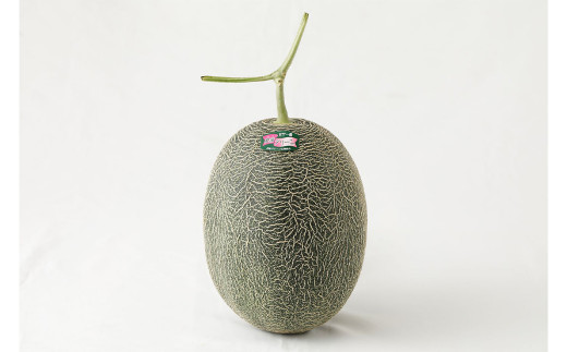 【2023年5月発送開始】熊本県産　肥後グリーンメロン2玉入り 果物 メロン
