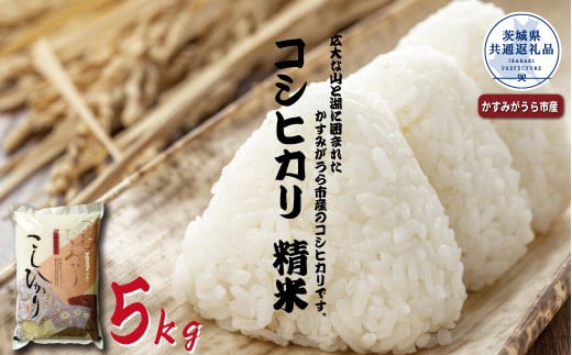 コシヒカリ　精米5kg（茨城県共通返礼品・かすみがうら市産） 869334 - 茨城県那珂市