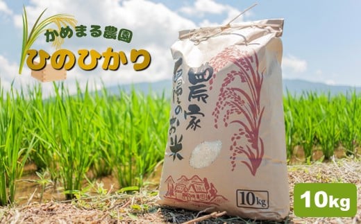 かめまる農園 の 「 ひのひかり 」 10kg | 米 こめ お米 おこめ 白米 精米 ヒノヒカリ 熊本県 玉名市