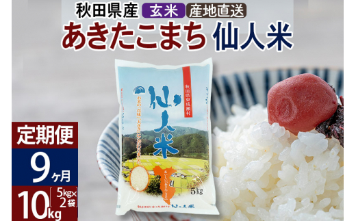 【定期便9ヶ月】あきたこまち 秋田県産 仙人米（玄米） 10kg（5kg×2袋）令和4年産 694781 - 秋田県東成瀬村