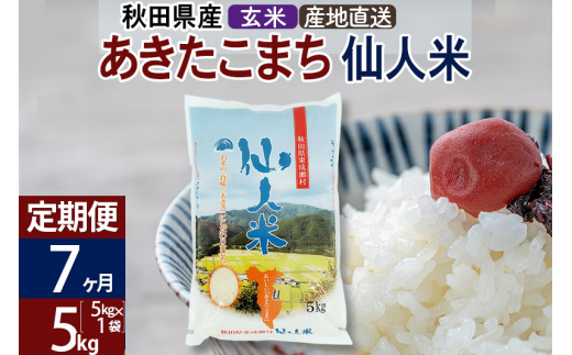 【定期便7ヶ月】あきたこまち 秋田県産 仙人米（玄米） 5kg（5kg×1袋）令和4年産