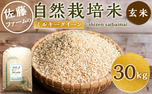 さとうファームの 自然栽培米 玄米 30kg(30kg×1袋) ミルキークイーン