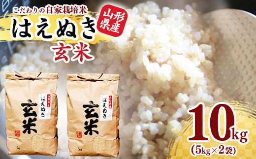 《減農薬栽培》【2024年産米】玄米 10kg 「はえぬき」(5kg×2袋