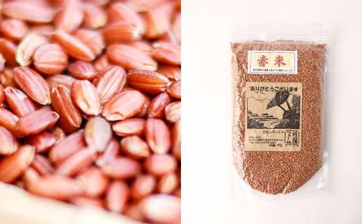 さとうファームの 有機栽培 赤米 2.1kg(700g×3袋)