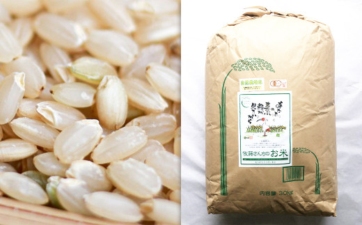 さとうファームの 自然栽培米 玄米 30kg(30kg×1袋) ミルキークイーン