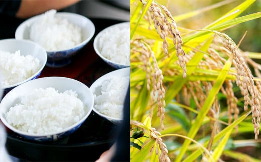 【6ヶ月定期便】さとうファームの有機栽培米 白米 4.5kg×6回 計27kg ミルキークイーン