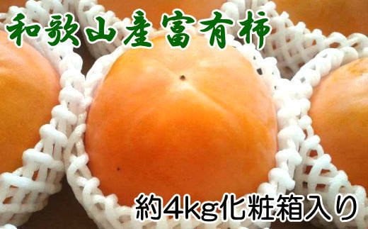 ［厳選・産直］和歌山産の富有柿約4kg（化粧箱入り）（2L～4Lサイズ）【2025年11月上旬～2025年12月上旬頃順次発送】【tec401A】 1524784 - 和歌山県すさみ町