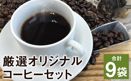 厳選オリジナルコーヒーセット(豆1袋・ドリップパック8種類) 計9種類 珈琲 ドリップ セット 990200 - 熊本県菊池市
