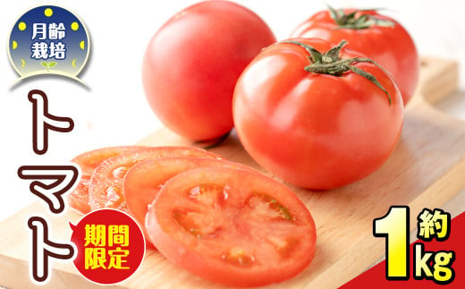 s471 [期間限定]月齢栽培で育てたトマト「月齢栽培トマト」(約1kg) さつま町 特産品 鹿児島 国産 九州産 野菜 トマト とまと[上市農園]