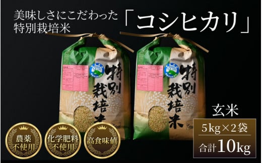 令和5年産新米】コシヒカリ 玄米 5kg×2袋（計10kg） 特別栽培米 農薬不