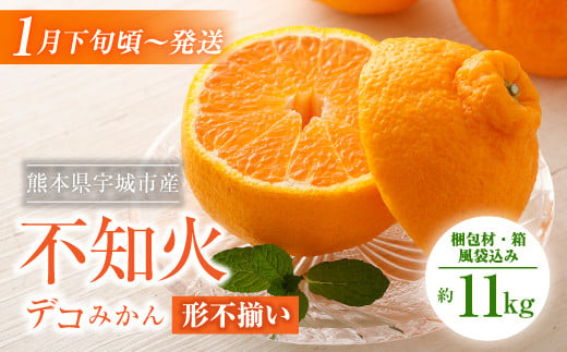 宇城市産 デコみかん 約11kg 不知火 形不揃い 柑橘 フルーツ