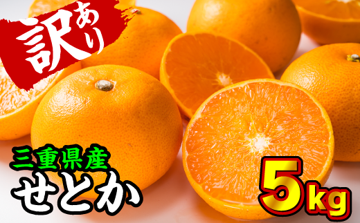 【訳あり】三重県産 せとか ５kg【出荷目安：２月下旬〜３月下旬】 II-40