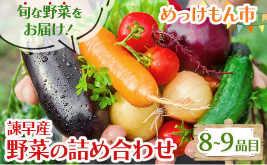 諫早産野菜の詰め合わせ(8～9品目程度)