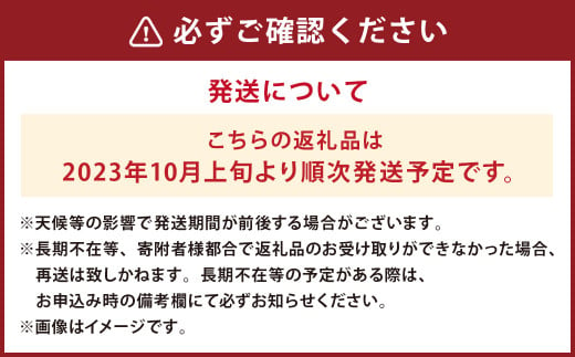 2023年10月上旬より順次発送予定】富有柿 約5kg(3L～Ｍサイズ) 果物 柿