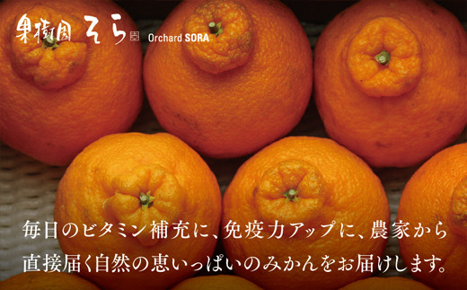 C45-78.【 訳あり 】天空の果樹園から届く 不知火 (5kg) / 愛媛県