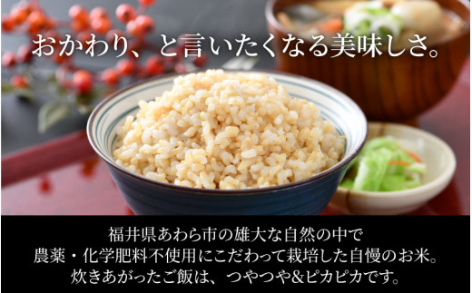 令和5年産新米】コシヒカリ 玄米 5kg×2袋（計10kg） 特別栽培米 農薬不